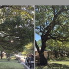 Samuel's Tree Service