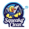 Squeaky Clean gallery