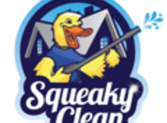 Squeaky Clean - Savannah, GA