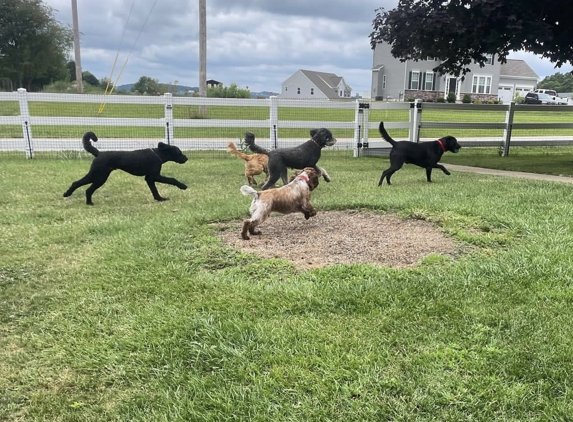 Cocos Dog Boarding and Daycare - Felton, PA