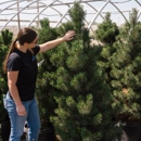 Arbor Valley Nursery - Nursery-Wholesale & Growers