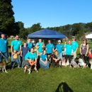 Northern Veterinary Associates