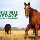 Horse Creek Insurance - Insurance