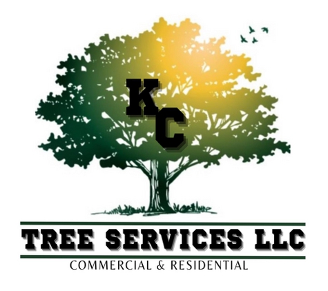 KC Tree Services LLC - Hatboro, PA