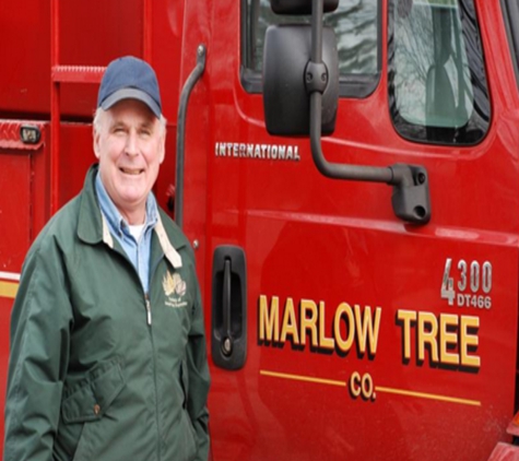 Marlow Tree Company