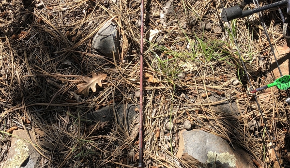 The Bow Shop - Yuma, AZ. My arrow not only in almost perfect condition but pointing in the direction the herd was traveling after the shot. 