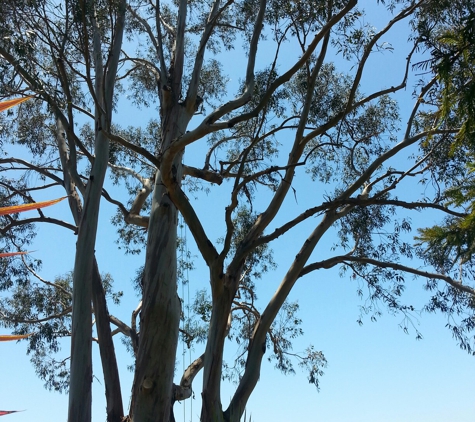 j-s-treeservice.com - Santa Barbara, CA