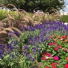 Spring Gardens Landscaping & Horticultural Services, Inc. gallery