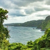 Road to Hana Tours gallery