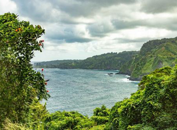 Road to Hana Tours - Makawao, HI