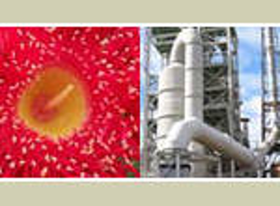 Umwelt (Australia) Pty Ltd - Teralba, NSW