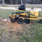 Stump Grinding By Logan