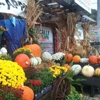 Piney Mountain Orchard Produce gallery