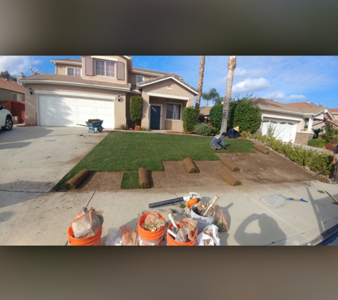 Luis Tree Service & Lawn Maintenance - Corona, CA