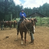 Beaver Creek Stables gallery