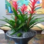 Plant Design Inc