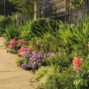 Landscape Images - Landscape Contractors