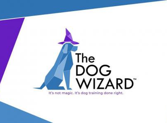 The Dog Wizard DC