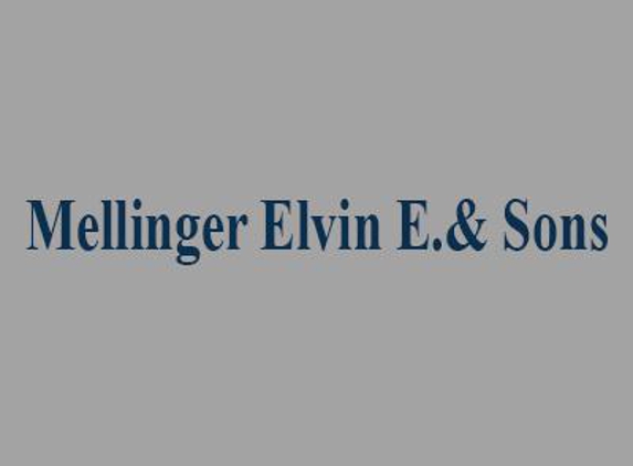 Mellinger Elvin E & Sons Coal - Lancaster, PA