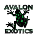 Avalon Exotics - Pet Stores