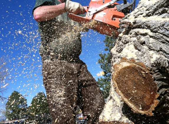 Mortensen Tree Service, Inc. - Centennial, CO