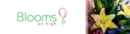Blooms On High - Florists