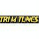 Tri M Tunes & Glass - Automobile Parts & Supplies