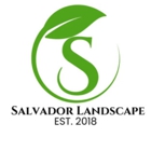 Salvador Landscape