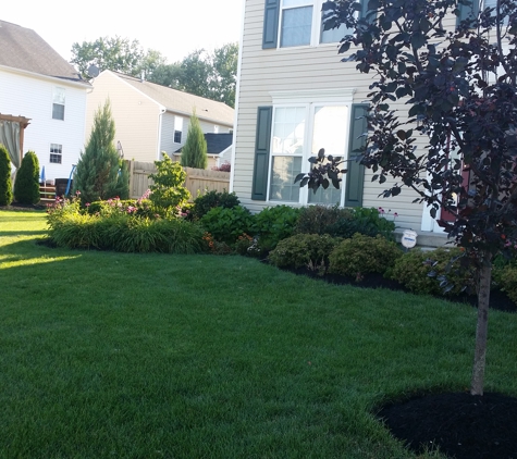 New Image Lawn Care LLC - Amherst, OH