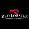 Red Lobster gallery