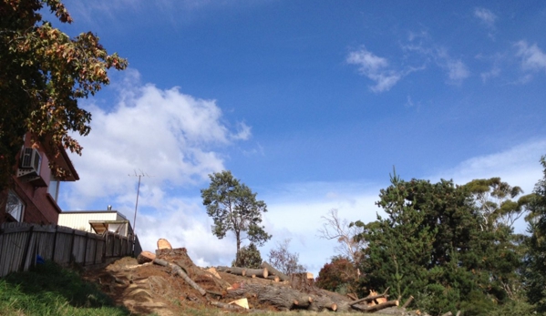 Adams Tree Services - St Leonards, TAS