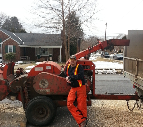 Morgan Brothers Tree Service - Birdsboro, PA