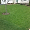 Greenkeeper Lawn, Tree & Shrub Treatment Service gallery