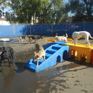 Lucky Dog Boarding, Daycare & Training - Colorado Springs, CO