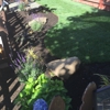 Amaya's Landscaping LLC gallery