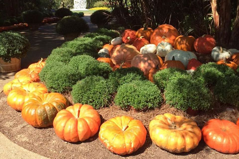 Tomb Sweet Tomb: Halloween Prep in Music City