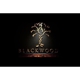 Blackwood Studios