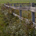 Winged Pheasant Golf Links