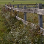 Winged Pheasant Golf Links