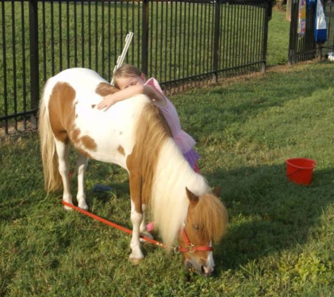 About Town Pony Rides - Indian Trail, NC