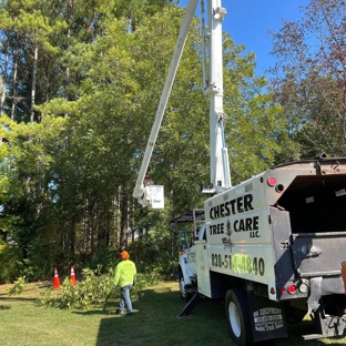 Chester Tree Care - Hickory, NC