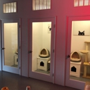 Cat Place LA - Pet Boarding & Kennels