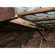 Gallery Image Number 1