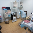 FUE Hair Transplant Center - Mosaic Clinic