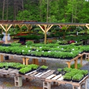 Tri-City Greenhouse - Garden Centers