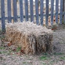 Vinton Feed Store - Feed Dealers