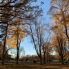 Sacred Heart Cemetery gallery