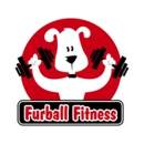 Furball Fitness Dog Walking & Pet Care - Dog Day Care