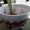 sweetFrog Premium Frozen Yogurt gallery