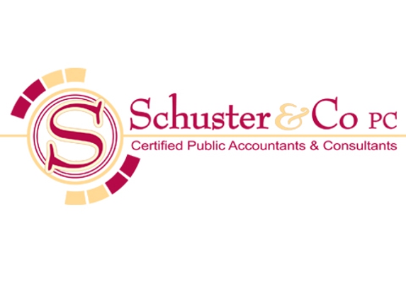 Schuster & Co PC - DeWitt, IA